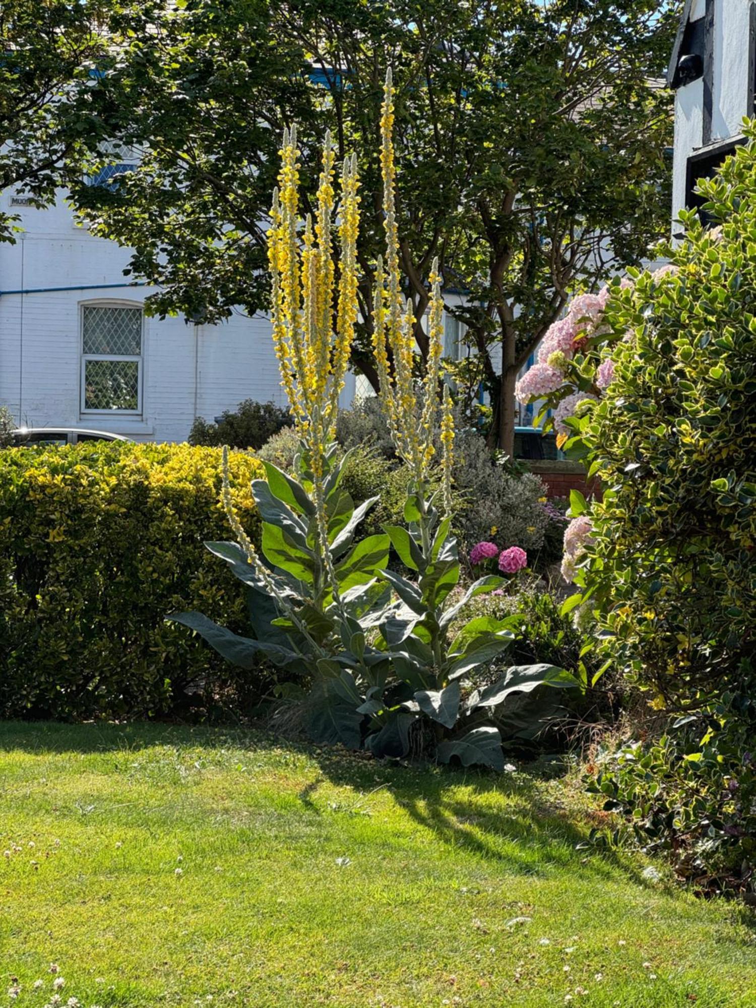 The Old Coach House — Photos 2